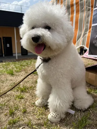 装着イメージ(1)