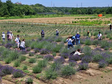 つみとり体験会場