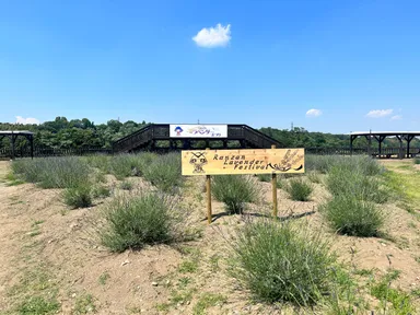 フォトスポット