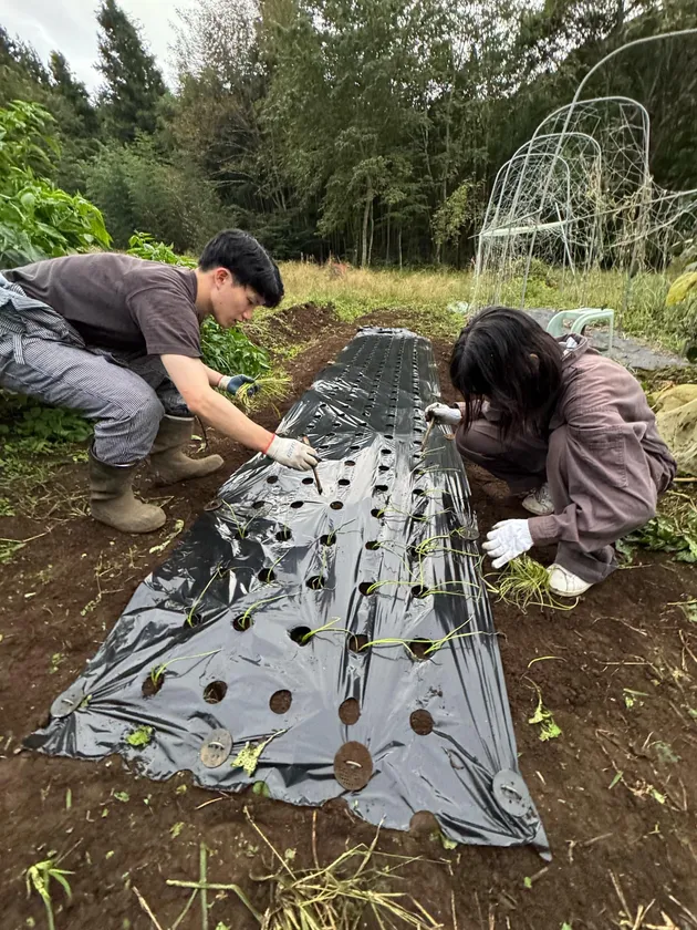 活動中に食べる野菜の植付