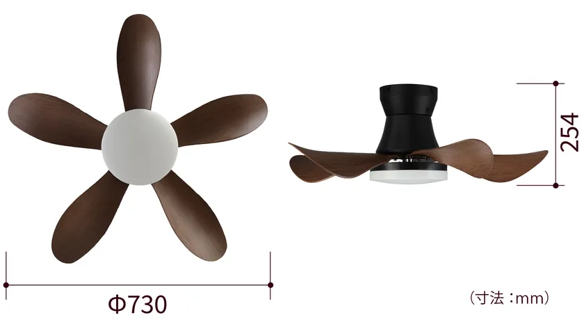 鳥の羽根をイメージ