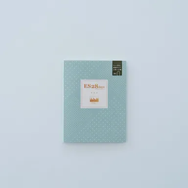 ミシン目無し紙ふせん(28日用※2月用1個)