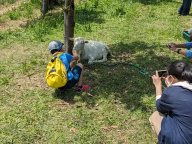 昨年のMGヤギ牧場の様子