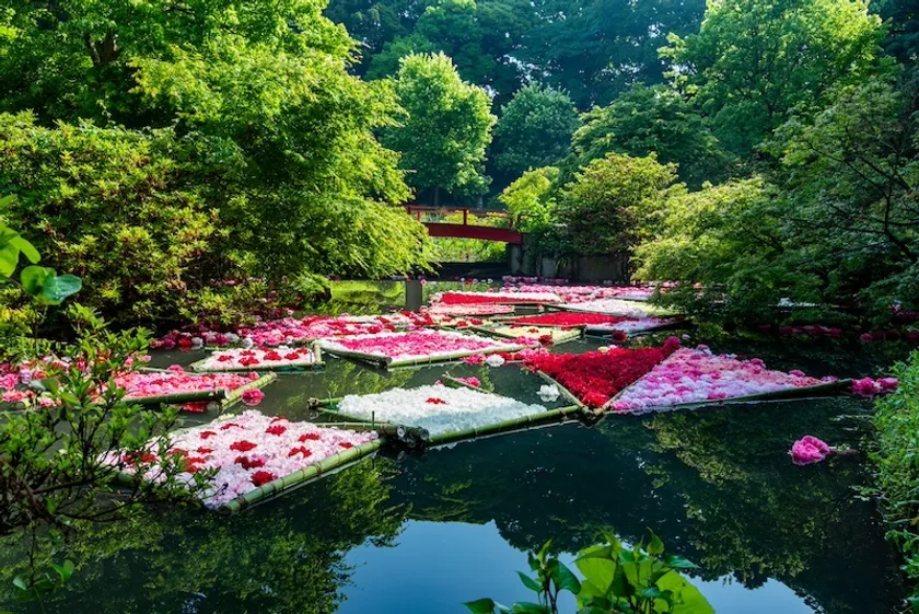 芍薬の花筏は、5月の週末に開催(ヒーリングエリアの池にて)