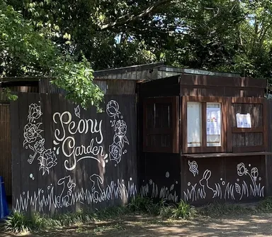 フォトスポット