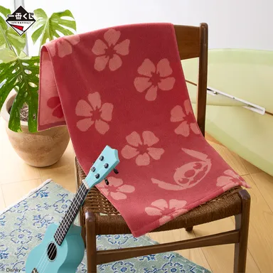 C賞：2人のハンモック風タオル(イメージ)