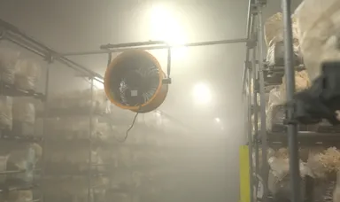 花びら茸の栽培風景