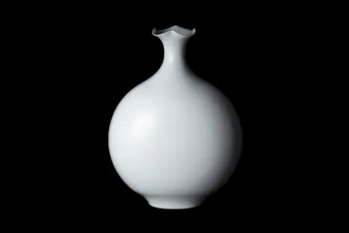 作品イメージ(白磁縁なぶり偏壺)