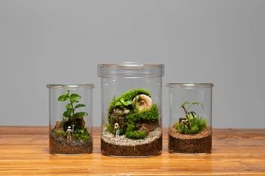 育てるジオラマ講座 by Element Earth