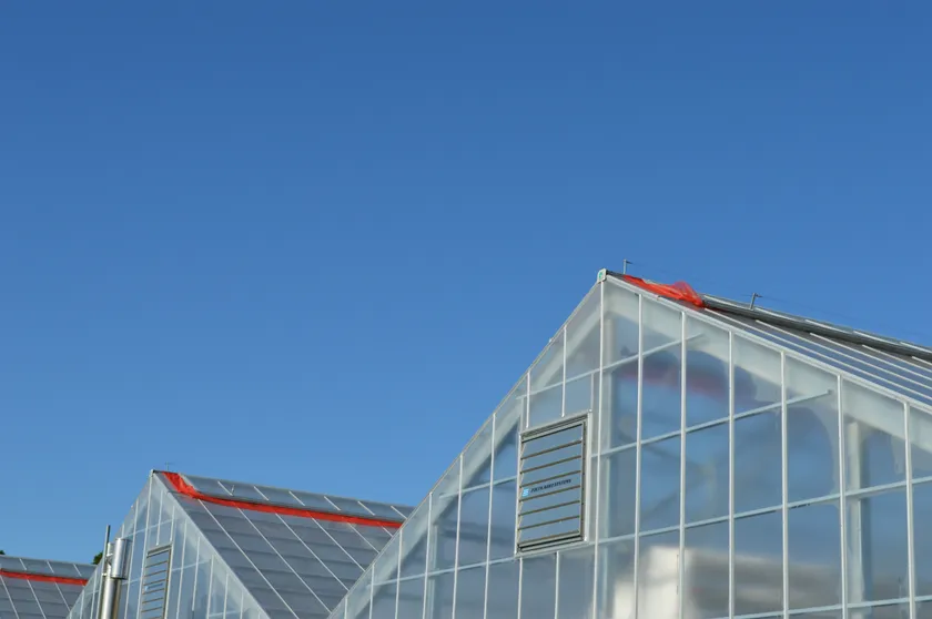 ライチの栽培ハウス