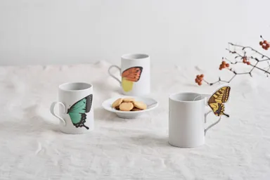 バタフライギフトセット　1