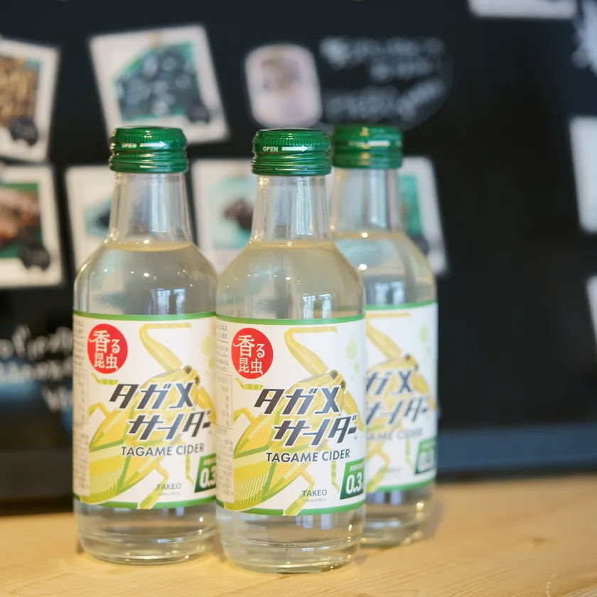 タガメサイダー(昆虫食のTAKEO)