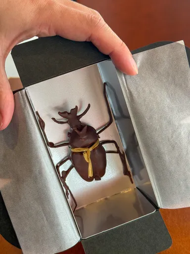 カブトムシチョコレート