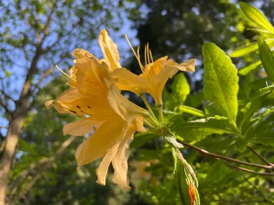 【八ッ杉和ハーブロード】にて