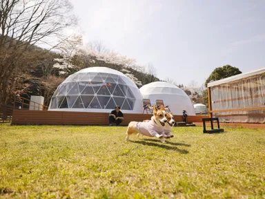 約600m2(200坪)以上のプライベートドッグラン