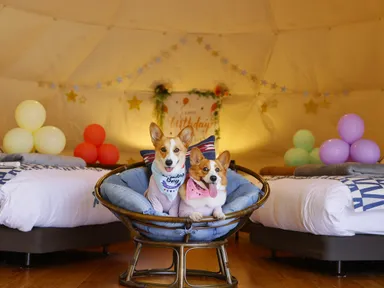 ぴーちゃん&ぷーちゃん