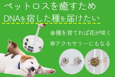 クラウドファンディング