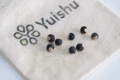 Yuishu(DNAを含むタネ)