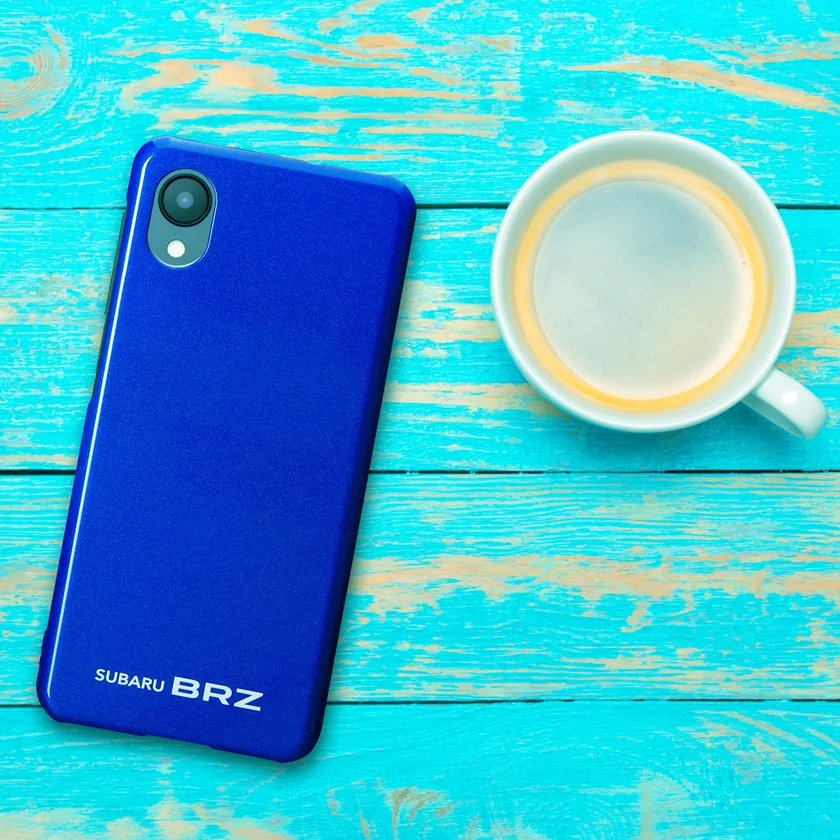 WRブルー・パールイメージ