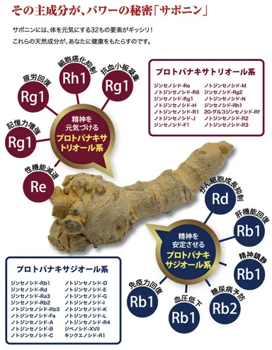 みらい爽爽 サポニン詳細