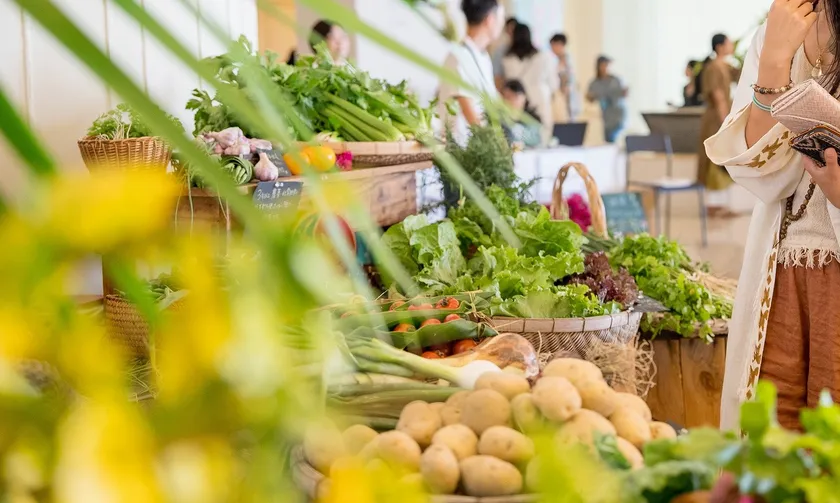 【日帰り】暮らしの発酵マルシェ