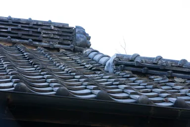 屋根瓦の老朽化1