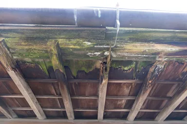 庇(ひさし)の老朽化