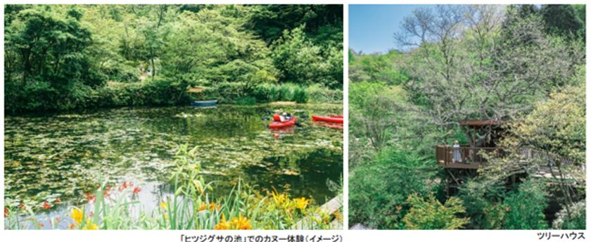 ROKKO森の音ミュージアム 夏イベント
「森の音フェス2025」開催
2025年7月19日(土)、20日(日)、21日(月・祝)