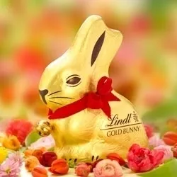 ゴールドバニー