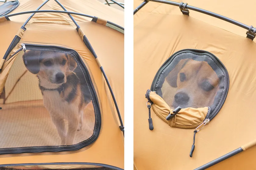 どこからも見えるから安心