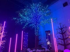 最新制御を生かしたイルミネーションショー(昨年の様子)