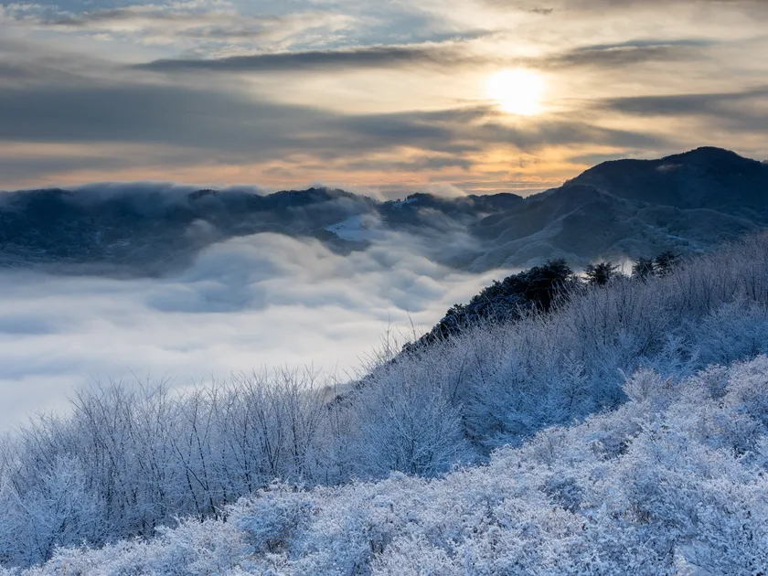 第21回秩父鉄道写真コンテスト 観光部門 推薦(秩父鉄道社長賞)作品