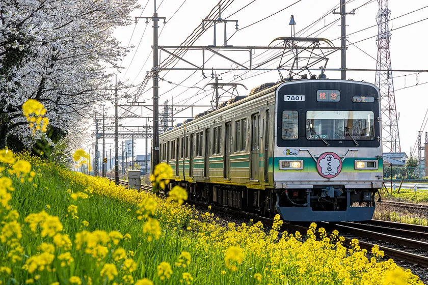 第21回秩父鉄道写真コンテスト 車両部門 推薦(秩父鉄道社長賞)作品