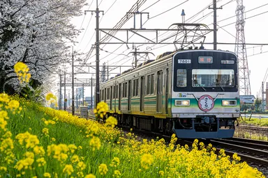 第21回秩父鉄道写真コンテスト　車両部門　推薦(秩父鉄道社長賞)作品