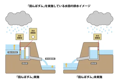 各セクションに図やグラフを使用