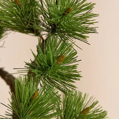 「A-BONSAI(R)Bunjin 信楽焼鉢」松葉アップ