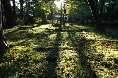 コースイメージ