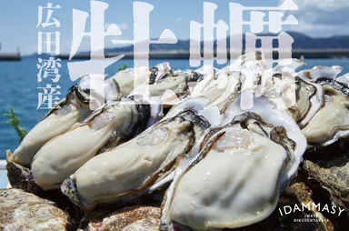 広田湾産牡蠣2