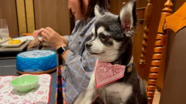 【蜉蝣の月】栃木県 大丸温泉