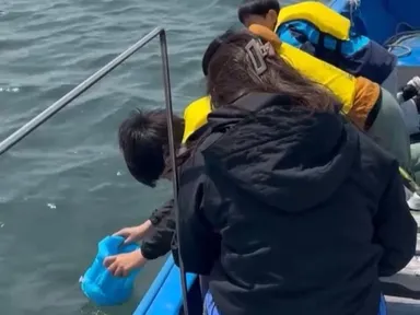 水中観察メガネで確認