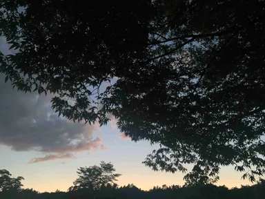 朝や夕方にはマジックアワーの景色をお楽しみいただけます