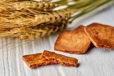 101のサブレ生地