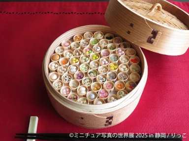 ミニチュア写真の世界展 展示作品：りっこ