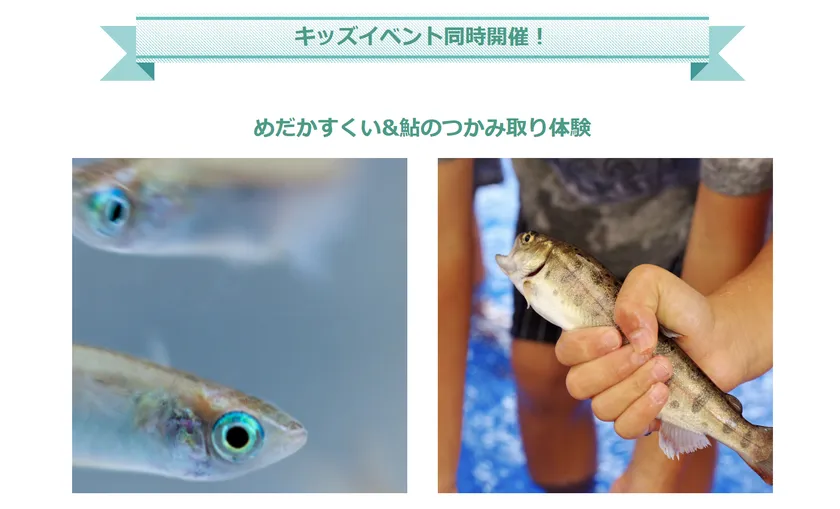 KIDSエリア