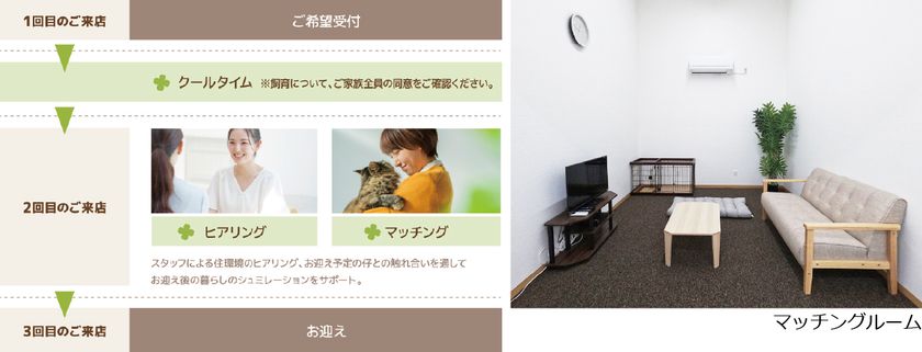 【CLOVER STEP】ご希望から迎えまでの流れ