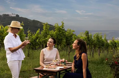 アナンタラ・パレ・ハンセン・ウィーン - ウィーンのブドウ園エクスペリエンス イメージ