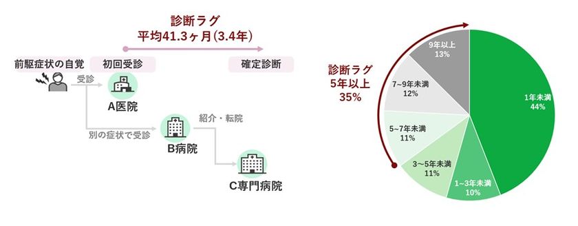 診断ラグイメージ