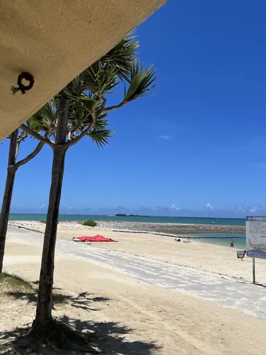 沖縄の野外チームビルディング研修会場