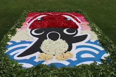 昨年のフラワーカーペット