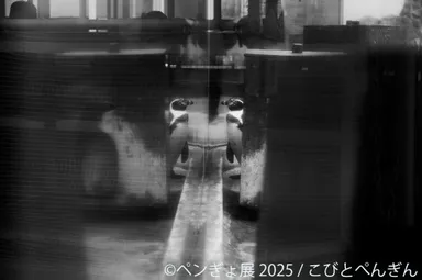 ペンギン 展示作品：こびとぺんぎん